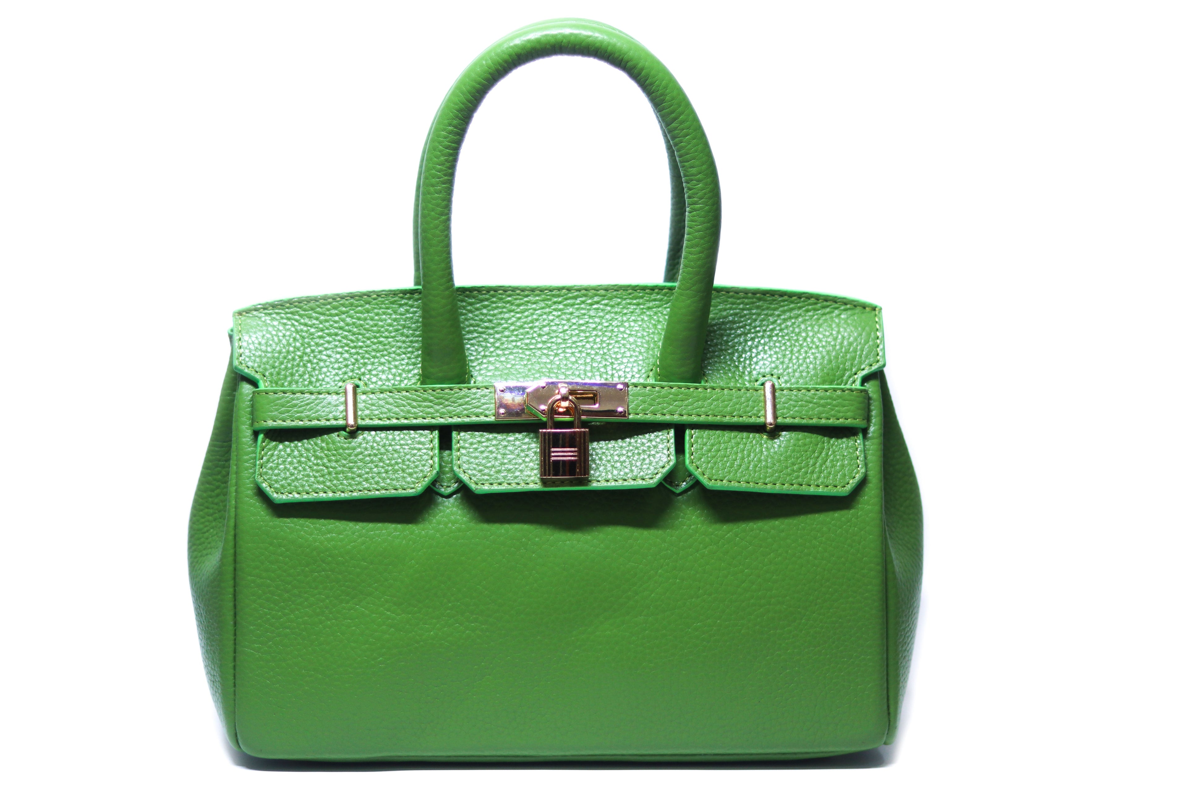 Modern fashion and Professional Vegan Handbag for women